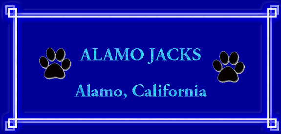 Alamo Jacks